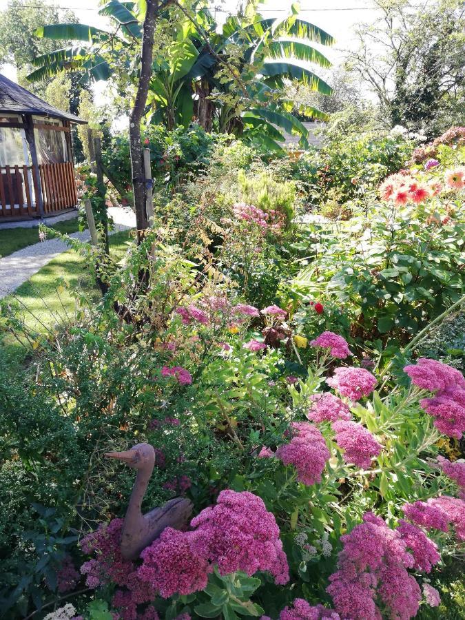 Bed and Breakfast Les Petites Chapelles Saint-Pierre-de-Plesguen Екстер'єр фото